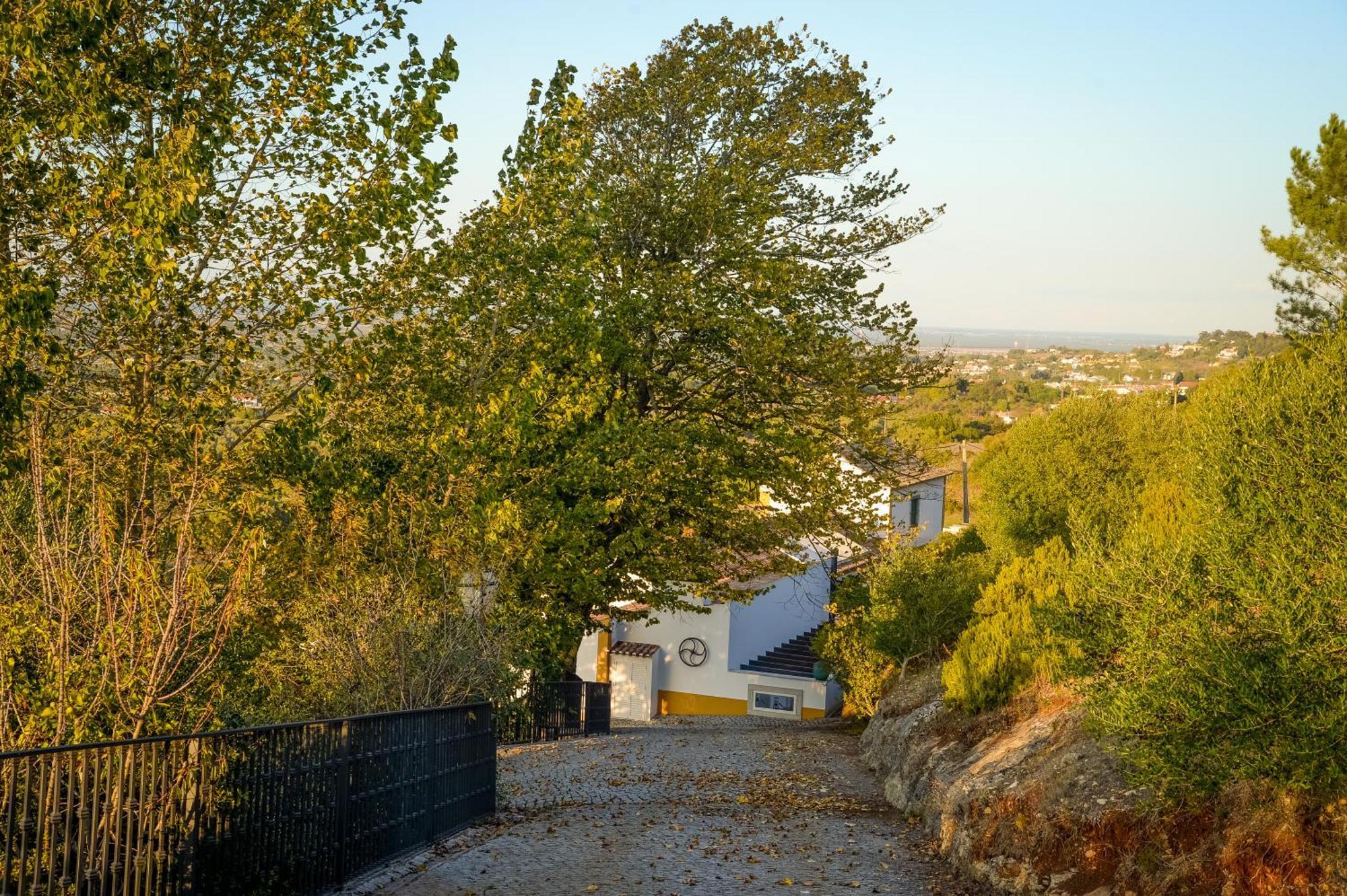 Quinta Do Louro Konuk evi Palmela Dış mekan fotoğraf